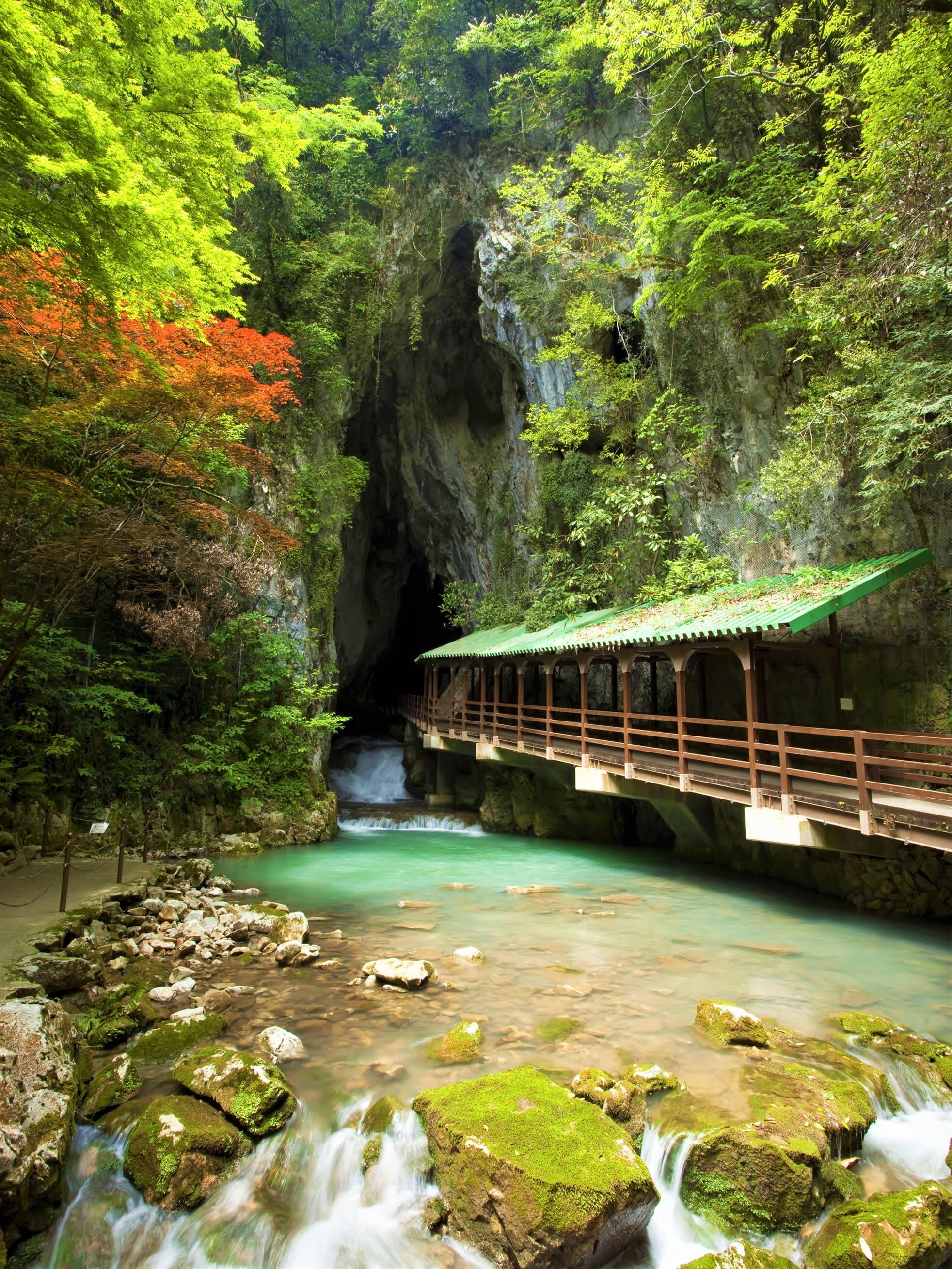 秋芳洞（あきよしどう）